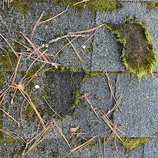 roof-cleaning 3