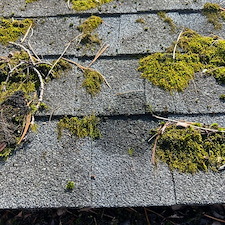 roof-cleaning 4