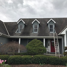 roof-cleaning 6
